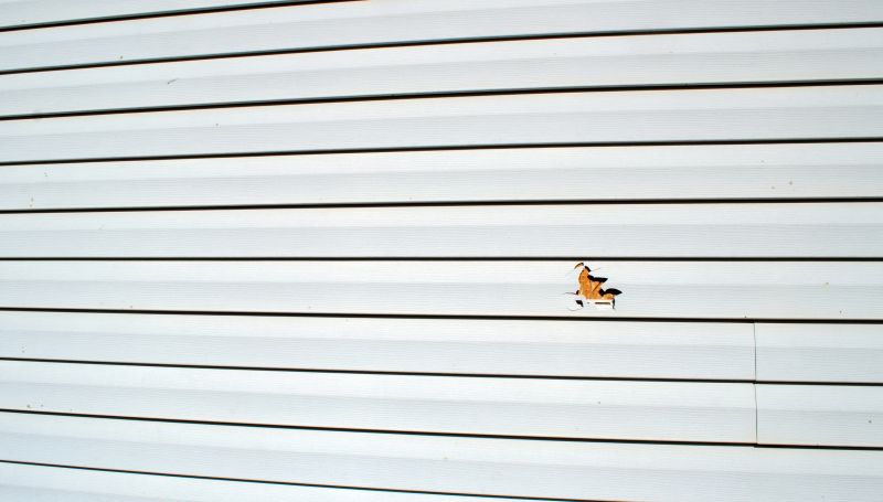 Damaged Siding Before Repair